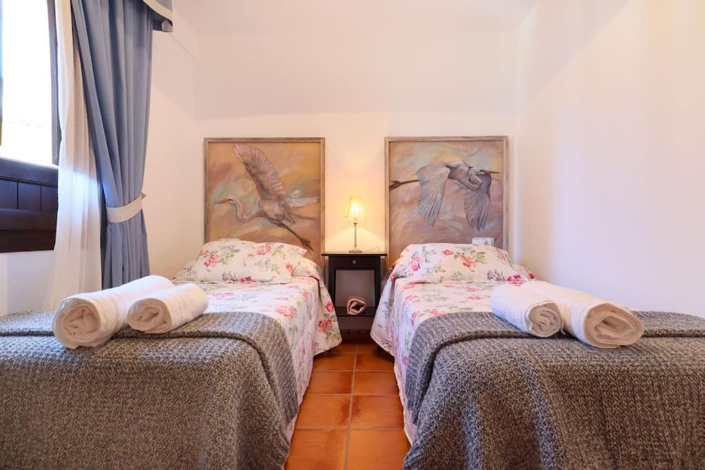 Casa Con Encanto En La Juderia De コルドバ エクステリア 写真