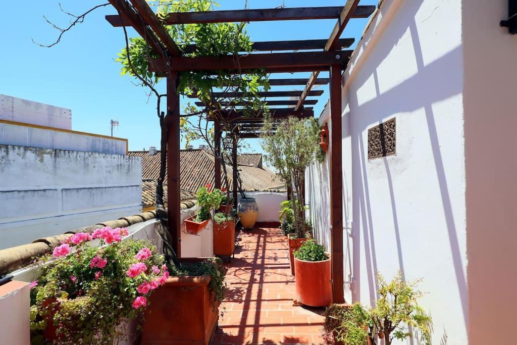 Casa Con Encanto En La Juderia De コルドバ エクステリア 写真